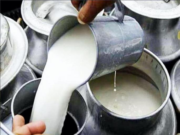 The accuracy of the electronic scales used while taking milk is now less than 10 milliliters | दुधाच्या वजनकाट्यातील लूट थांबणार, दूध उत्पादकांचा फायदा होणार The accuracy of the electronic scales used while taking milk is now less than 10 milliliters | दुधाच्या वजनकाट्यातील लूट थांबणार, दूध उत्पादकांचा फायदा होणार
