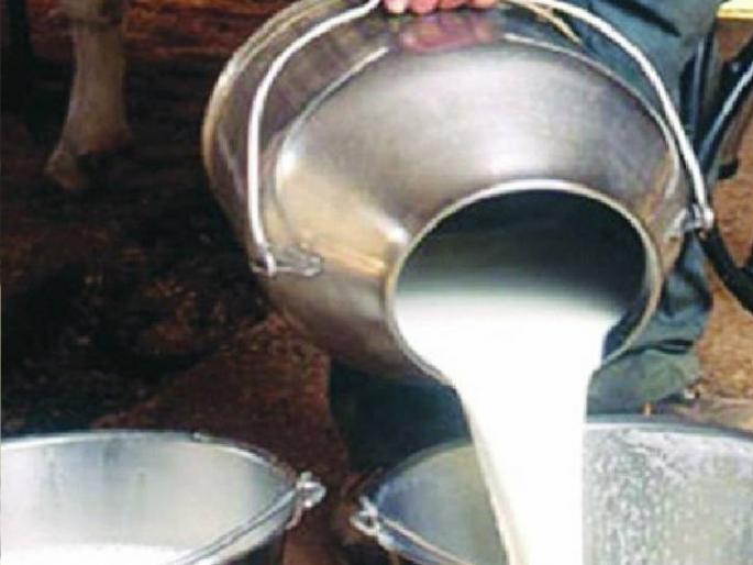 Milk producing farmers of the state are worried due to the decrease in the price of cow milk | राज्याकडून मलमपट्टी, केंद्राकडून जखमेवर मीठ; दूध उत्पादक शेतकरी हवालदिल Milk producing farmers of the state are worried due to the decrease in the price of cow milk | राज्याकडून मलमपट्टी, केंद्राकडून जखमेवर मीठ; दूध उत्पादक शेतकरी हवालदिल