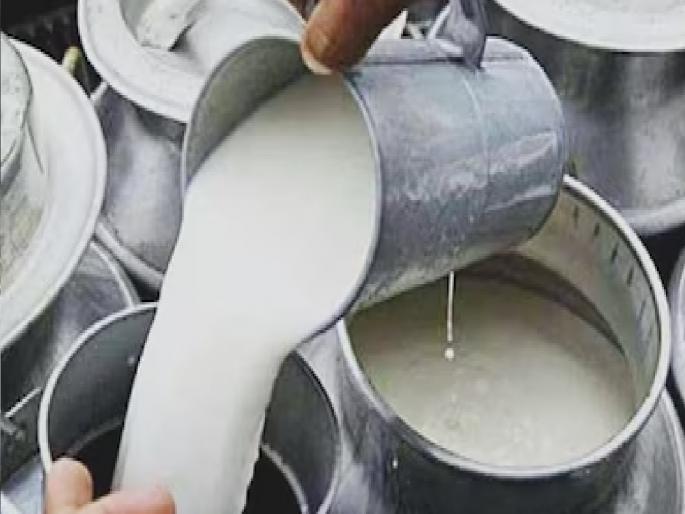 Give subsidy to milk producers for four months, demands Independent India Party | दूध उत्पादकांना चार महिन्यांसाठी अनुदान द्या, स्वतंत्र भारत पक्षाची मागणी 