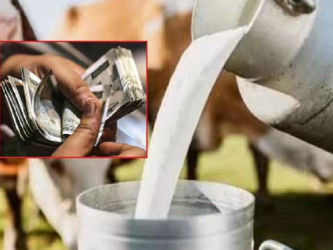 90 crore milk subsidy deposited in the accounts of 6 lakh farmers in the state | राज्यातील ६ लाख शेतकऱ्यांच्या खात्यावर ९० कोटी दूध अनुदान जमा 90 crore milk subsidy deposited in the accounts of 6 lakh farmers in the state | राज्यातील ६ लाख शेतकऱ्यांच्या खात्यावर ९० कोटी दूध अनुदान जमा