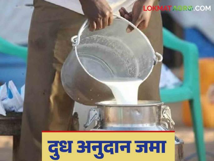 Milk Anudan: Direct deposit of Rs 15 crore subsidy into the accounts of 12,000 milk producers | Dudh Anudan : १२ हजार दूध उत्पादकांच्या खात्यात १५ कोटी रुपयांचे अनुदान थेट जमा