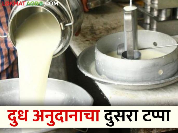 Milk Subsidy Milk subsidy of Rs 90 crore will be deposited in the accounts of 6 lakh milk producing farmers in the state | Milk Subsidy राज्यातील ६ लाख दुध उत्पादक शेतकऱ्यांच्या खात्यांवर ९० कोटींचे दूध अनुदान होणार जमा Milk Subsidy Milk subsidy of Rs 90 crore will be deposited in the accounts of 6 lakh milk producing farmers in the state | Milk Subsidy राज्यातील ६ लाख दुध उत्पादक शेतकऱ्यांच्या खात्यांवर ९० कोटींचे दूध अनुदान होणार जमा