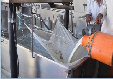 Distribution of Twenty-five crores through 'Diwali' Milk Distribution Due to Milk Organizations: 'Sankrant', 'Gudi Padva' also Rebate | दूध संस्थांमुळेच ‘दिवाळी’ दूध फरकाद्वारे सव्वाशे कोटींचे वाटप : ‘संक्रांत’, ‘गुढीपाडवा’लाही रिबेट Distribution of Twenty-five crores through 'Diwali' Milk Distribution Due to Milk Organizations: 'Sankrant', 'Gudi Padva' also Rebate | दूध संस्थांमुळेच ‘दिवाळी’ दूध फरकाद्वारे सव्वाशे कोटींचे वाटप : ‘संक्रांत’, ‘गुढीपाडवा’लाही रिबेट
