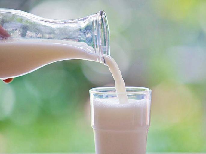What is the best alternative to milk? | दूध पिणाऱ्या प्रत्येकासाठी... 'या' गंभीर समस्येचा विचार केलाय का? What is the best alternative to milk? | दूध पिणाऱ्या प्रत्येकासाठी... 'या' गंभीर समस्येचा विचार केलाय का?