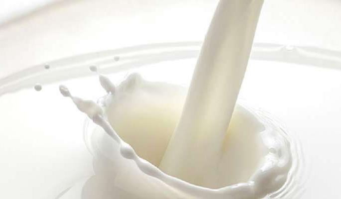 Cow milk powder prices rise in domestic market | देशांतर्गत बाजारपेठेत गाय दूध पावडरच्या दरात वाढ Cow milk powder prices rise in domestic market | देशांतर्गत बाजारपेठेत गाय दूध पावडरच्या दरात वाढ