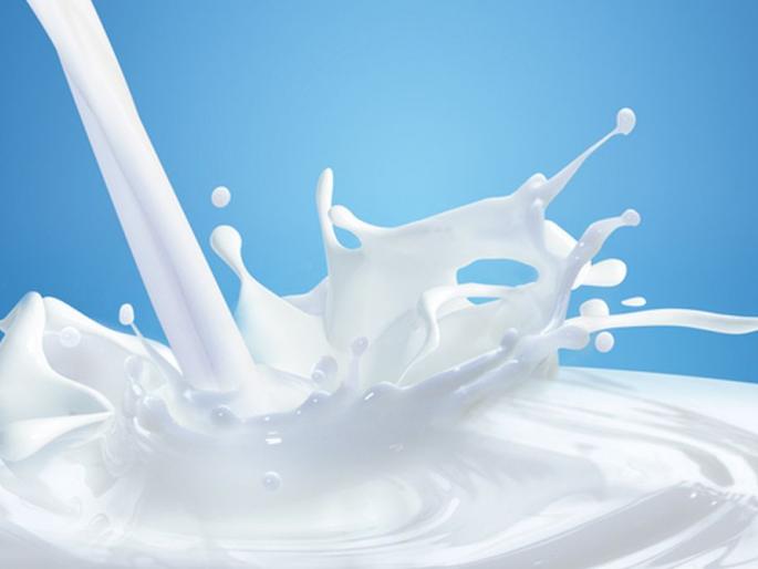 Daily use of 2 lakh liters of milk for powder production | पावडर निर्मितीसाठी ८० लाख लिटर दुधाचा दररोज होतोय वापर Daily use of 2 lakh liters of milk for powder production | पावडर निर्मितीसाठी ८० लाख लिटर दुधाचा दररोज होतोय वापर