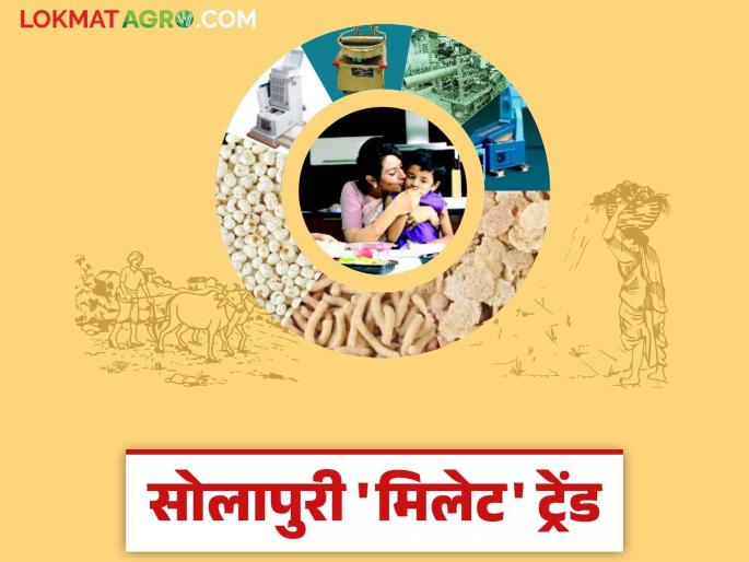 Solapur Millet : Solapur's 'millet' trend, farmers jowar and pearl millet demand has increased; Read in detail | Solapur Millet : सोलापुरचा 'मिलेट' ट्रेंड, शेतकऱ्यांच्या ज्वारी अन् बाजरीचा वाढला रुबाब; वाचा सविस्तर Solapur Millet : Solapur's 'millet' trend, farmers jowar and pearl millet demand has increased; Read in detail | Solapur Millet : सोलापुरचा 'मिलेट' ट्रेंड, शेतकऱ्यांच्या ज्वारी अन् बाजरीचा वाढला रुबाब; वाचा सविस्तर