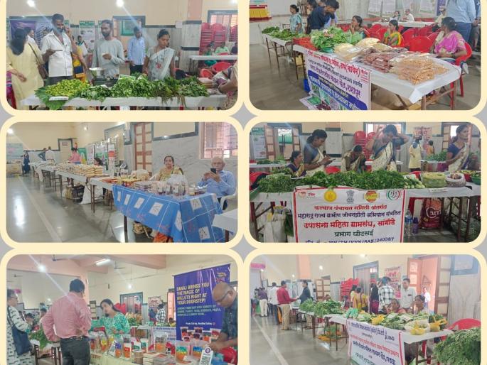 Good response to district level wild vegetables and millet festival at Dombivli | डोंबिवली येथे जिल्हास्तरीय रानभाज्या व मिलेट महोत्सवास उत्तम प्रतिसाद Good response to district level wild vegetables and millet festival at Dombivli | डोंबिवली येथे जिल्हास्तरीय रानभाज्या व मिलेट महोत्सवास उत्तम प्रतिसाद
