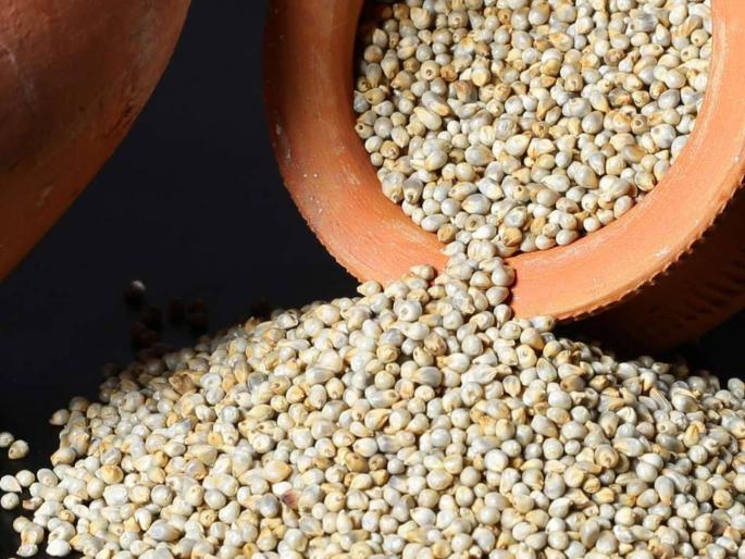 Millet gives the warmth after demand increased due to cold and Makar Sankranti, prices under control | बाजरी देतेय मायेची ऊब; थंडी अन् मकर संक्रांतीमुळे वाढली मागणी, भाव नियंत्रणात
