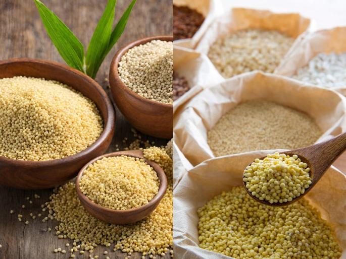 millets are a must in the diet, make various delicious dishes with millets, a tasty way to stay healthy | तृणधान्ये आहारात असायलाच हवीत, मिलेट्सचे करा असे विविध स्वादिष्ट पदार्थ, निरोगी राहण्याचा चविष्ट मार्ग