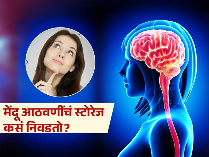 Why Do We Remember Some Life Moments—but Not Others? Know How Our Mind Selects Memories | आपला मेंदू बारीक-सारीक गोष्टी लक्षात ठेवतो आणि महत्वाच्या गोष्टी का विसरतो? पाहा नेमकं काय असतं तंत्र