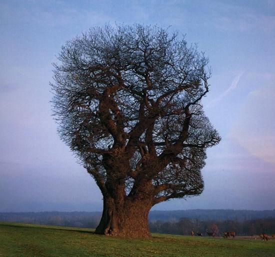 its all about mindfulness | सजग भोक्ता कसं व्हायचं? its all about mindfulness | सजग भोक्ता कसं व्हायचं?