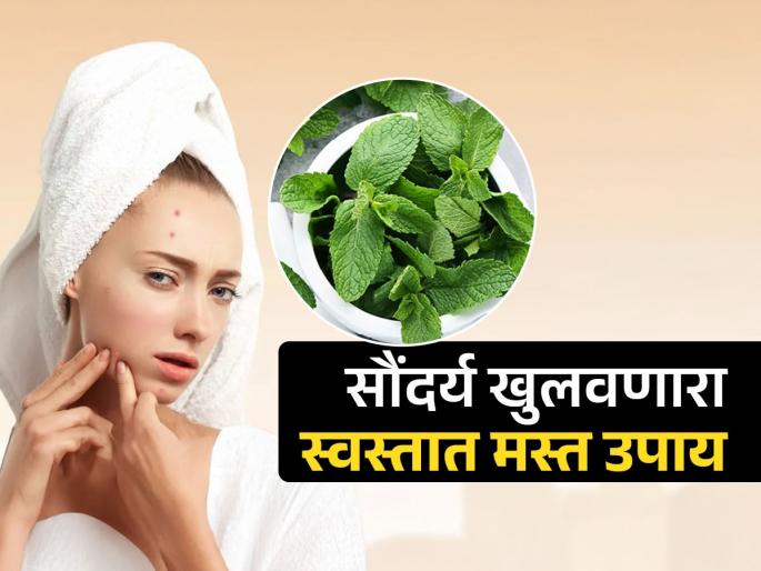 Mint face pack for to get rid off acne, pimples and blackheads | सतत येणारे पिंपल्स, ब्लॅकहेड्सची चिंता सोडा; पुदिन्याचे 'हे' नॅचरल फेसपॅक चेहऱ्यासाठी खास उपयोगी
