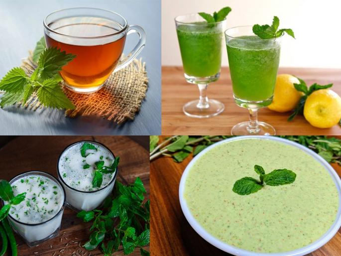 How to use mint leaves for acidity? | ॲसिडिटीने हैराण, पुदिना है ना! पुदिन्याचा चहा, सरबत, ताक आणि रायते- पित्तावर करा उपाय