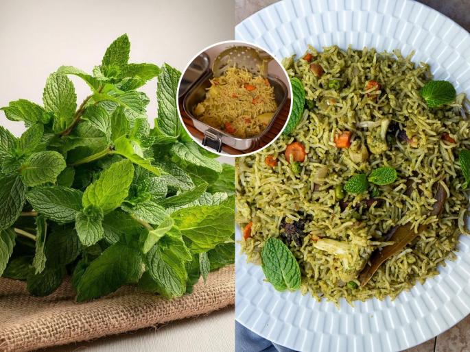 veg pudina pulao recipe healthy pulao for rainy season light dinner ideas Indian | भाजी-चपाती खाऊन कंटाळलात? करा चमचमीत व्हेज पुदिना पुलाव, पावसाळ्यात खा हलका- पौष्टिक आहार
