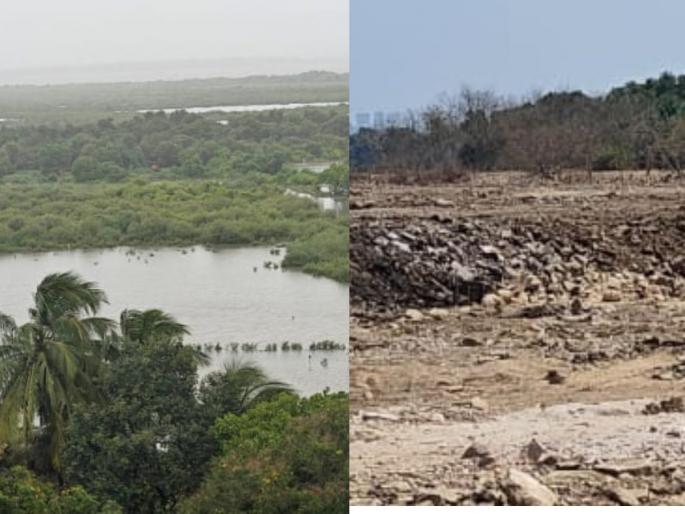 The destruction of the city's natural defenses has caused suffering to citizens. | शहराची नैसर्गिक कवचकुंडलेच नष्ट केल्याने नागरिकांचे हाल The destruction of the city's natural defenses has caused suffering to citizens. | शहराची नैसर्गिक कवचकुंडलेच नष्ट केल्याने नागरिकांचे हाल