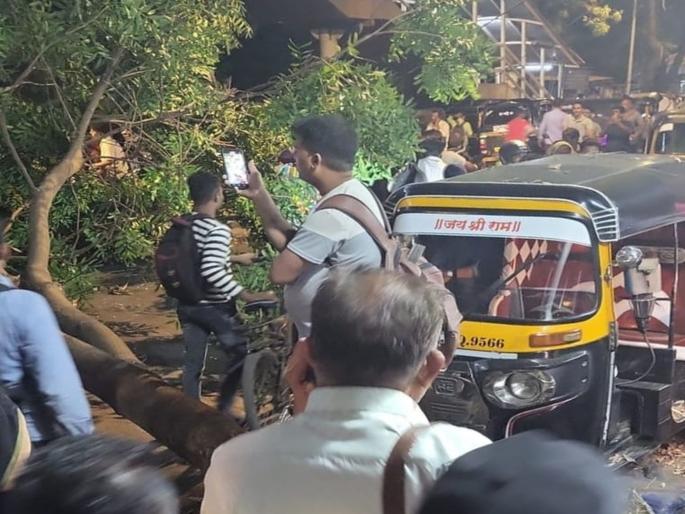 Storm in Mira Bhayander, tree falls on main road in Bhayander, traffic disrupted | मीरा भाईंदरमध्ये वादळी वारा, भाईंदर मध्ये मुख्य रस्त्यावर झाड पडून वाहतूक ठप्प Storm in Mira Bhayander, tree falls on main road in Bhayander, traffic disrupted | मीरा भाईंदरमध्ये वादळी वारा, भाईंदर मध्ये मुख्य रस्त्यावर झाड पडून वाहतूक ठप्प