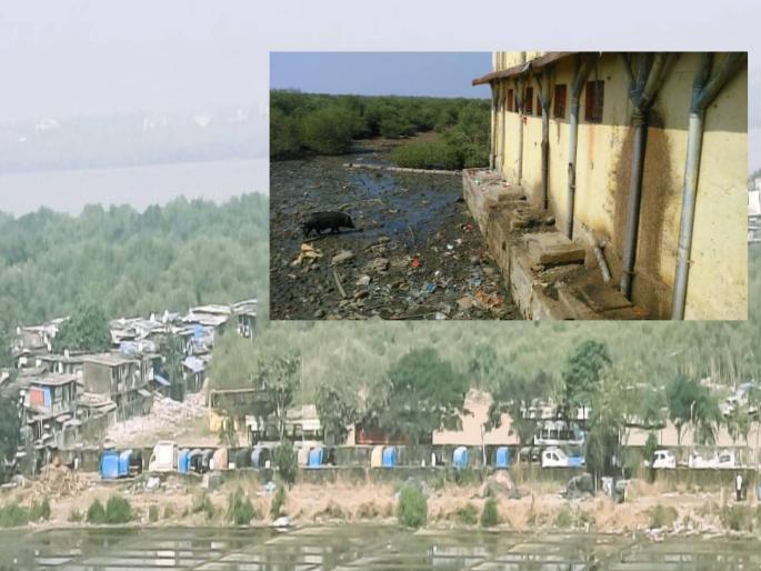 Elections are here For the voters, now encroachments on government land should be excluded from the Kandalvan boundary | निवडणूक आली ... मतदारांसाठी आता सरकारी जागेतील अतिक्रमणे कांदळवन हद्दीतून वगळा