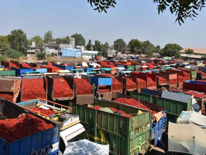 coronavirus: Use of school bus to buy chillies, Karjat police action | coronavirus: मिरची खरेदीसाठी स्कूलबसचा वापर, कर्जत पोलिसांची कारवाई