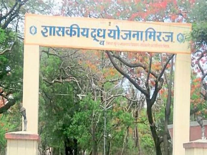 Miraj Government Dairy milk collection at zero; Additional milk supply in Konkan, Marathwada stopped | मिरज शासकीय डेअरीचे दूध संकलन शून्यावर; कोकण, मराठवाड्यातील अतिरिक्त दूध पुरवठा बंद Miraj Government Dairy milk collection at zero; Additional milk supply in Konkan, Marathwada stopped | मिरज शासकीय डेअरीचे दूध संकलन शून्यावर; कोकण, मराठवाड्यातील अतिरिक्त दूध पुरवठा बंद