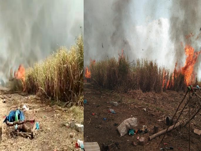 Two hundred acres of sugarcane on fire in Miraj taluka | मिरज तालुक्यातील ढवळीत दोनशे एकर ऊस जळून खाक, कोट्यावधीचे नुकसान Two hundred acres of sugarcane on fire in Miraj taluka | मिरज तालुक्यातील ढवळीत दोनशे एकर ऊस जळून खाक, कोट्यावधीचे नुकसान