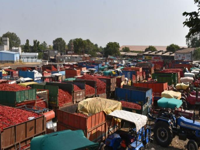 The question of land of pepper spider again came back to the anagram | मिरची पथारींचा जागेचा प्रश्न पुन्हा आला ऐरणीवर The question of land of pepper spider again came back to the anagram | मिरची पथारींचा जागेचा प्रश्न पुन्हा आला ऐरणीवर