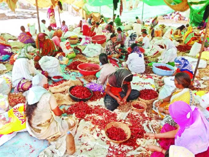 Rough purchase of beginnings; Chillies, Alasandela preferred | बेगमीची खरेदी जोरात; मिरच्या, अळसांदेला जास्त पसंती Rough purchase of beginnings; Chillies, Alasandela preferred | बेगमीची खरेदी जोरात; मिरच्या, अळसांदेला जास्त पसंती