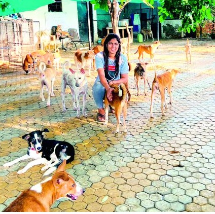 Helping human for hundreds of sick, crippled dogs | शेकडाे आजारी, अपंग श्वानांच्या जखमांवर मायेची फुंकर Helping human for hundreds of sick, crippled dogs | शेकडाे आजारी, अपंग श्वानांच्या जखमांवर मायेची फुंकर
