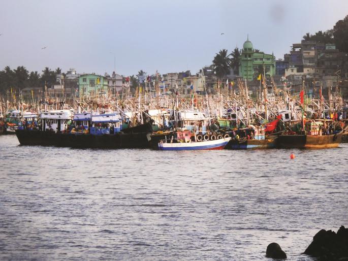 Fish disappearing due to climate change, fishermen in trouble in Ratnagiri | रत्नागिरी: वातावरणातील बदलामुळे मासे गायब, मच्छीमार संकटात Fish disappearing due to climate change, fishermen in trouble in Ratnagiri | रत्नागिरी: वातावरणातील बदलामुळे मासे गायब, मच्छीमार संकटात
