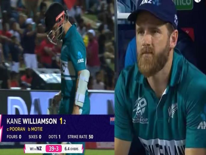 Mitchell McLagan has heard the Pakistani cricketer who trolled Kane Williamson after New Zealand's exit from the T20 World Cup 2024 | न्यूझीलंड वर्ल्ड कपमधून बाहेर! शाब्दिक युद्ध पेटलं; दिग्गजानं पाकिस्तानची लायकी काढली