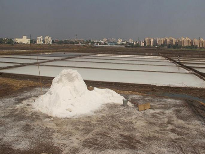 project victims in mumbai will get houses in the city the places of mithagars will be used for flats | मुंबईतील प्रकल्पग्रस्तांना मिळणार शहरातच घरे; सदनिकांसाठी मिठागरांच्या जागा वापरणार project victims in mumbai will get houses in the city the places of mithagars will be used for flats | मुंबईतील प्रकल्पग्रस्तांना मिळणार शहरातच घरे; सदनिकांसाठी मिठागरांच्या जागा वापरणार