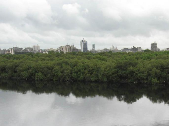 Mithi river will now get 28 floodgates in mumbai | ‘मिठी’ला आता पडणार २८ फ्लडगेट्सची ‘मिठी’ Mithi river will now get 28 floodgates in mumbai | ‘मिठी’ला आता पडणार २८ फ्लडगेट्सची ‘मिठी’