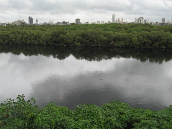 'Mithi' is another step towards cleanliness | ‘मिठी’ स्वच्छतेच्या दिशेने आणखी एक पाऊल पुढे! शुद्धीकरण प्रकल्पाचा पहिला टप्पा पूर्ण 'Mithi' is another step towards cleanliness | ‘मिठी’ स्वच्छतेच्या दिशेने आणखी एक पाऊल पुढे! शुद्धीकरण प्रकल्पाचा पहिला टप्पा पूर्ण