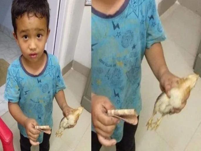 Mizoram Kid accidentally runs over chicken rushes to hospital with pocket money | ...अन् कोंबडीच्या पिलाला वाचवण्यासाठी तो चिमुकला हॉस्पिटलमध्ये पोहोचला! Mizoram Kid accidentally runs over chicken rushes to hospital with pocket money | ...अन् कोंबडीच्या पिलाला वाचवण्यासाठी तो चिमुकला हॉस्पिटलमध्ये पोहोचला!
