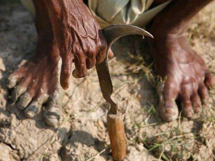 Suicide Sessions Don't Stop; Every two days a farmer is taking an extreme step | आत्महत्येचे सत्र थांबेना; प्रत्येक दोन दिवसांत एक शेतकरी उचलतोय टोकाचे पाऊल