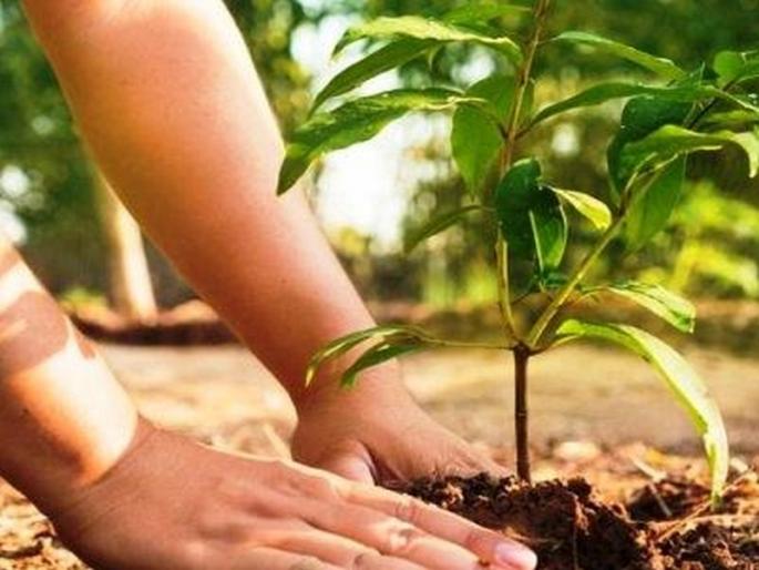 Finally, the student planted a tree in the school; An appeal not to believe in superstitions | मासिक पाळी प्रकरण: अखेर विद्यार्थीनीने शाळेत केलं वृक्षारोपण; अंधश्रद्धांवर विश्वास न ठेवण्याचं आवाहन Finally, the student planted a tree in the school; An appeal not to believe in superstitions | मासिक पाळी प्रकरण: अखेर विद्यार्थीनीने शाळेत केलं वृक्षारोपण; अंधश्रद्धांवर विश्वास न ठेवण्याचं आवाहन