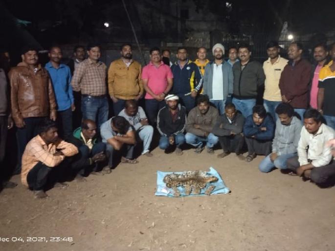 10 accused arrested smuggling of leopard skin and other organ in salekasa | बिबट्याच्या अवयवांची तस्करी करणाऱ्या १० आरोपींना अटक