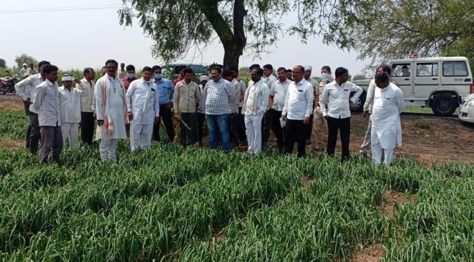 MLA Akash Phundkar inspects the hailstorm area | आमदार आकाश फुंडकर यांनी केली गारपिटग्रस्त भागाची पाहणी  MLA Akash Phundkar inspects the hailstorm area | आमदार आकाश फुंडकर यांनी केली गारपिटग्रस्त भागाची पाहणी