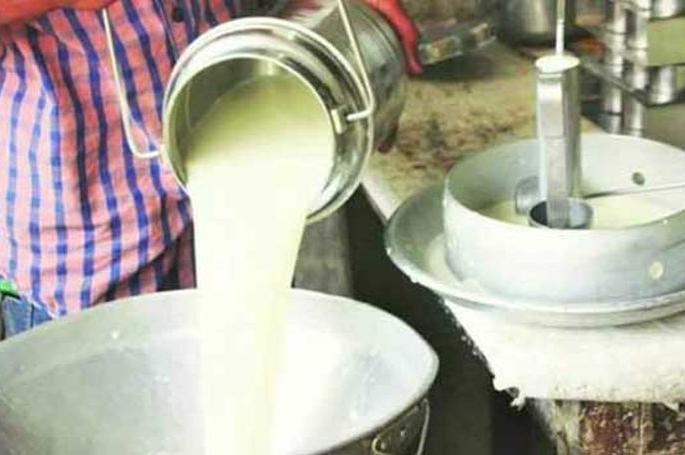 Preference will be given to dairy farmers | दुग्धोत्पादकांना प्राधान्याने पतपुरवठा करणार