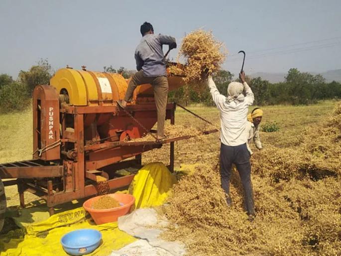 Death of youth due to being dragged into the threshing machine, outrage among the villagers | मळणी यंत्रात ओढला गेल्याने युवकाचा मृत्यू, ग्रामस्थांमध्ये हळहळ Death of youth due to being dragged into the threshing machine, outrage among the villagers | मळणी यंत्रात ओढला गेल्याने युवकाचा मृत्यू, ग्रामस्थांमध्ये हळहळ
