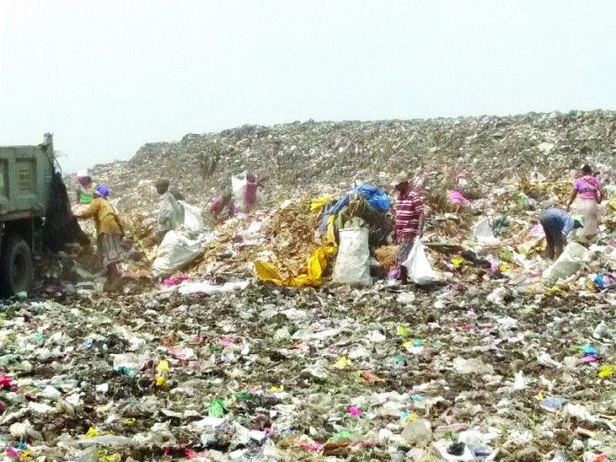 Dumping plastic bags costs! KDMC has a restricted paper | डम्पिंगवर प्लास्टिक पिशव्यांचा खच! केडीएमसीची बंदी कागदावरच Dumping plastic bags costs! KDMC has a restricted paper | डम्पिंगवर प्लास्टिक पिशव्यांचा खच! केडीएमसीची बंदी कागदावरच