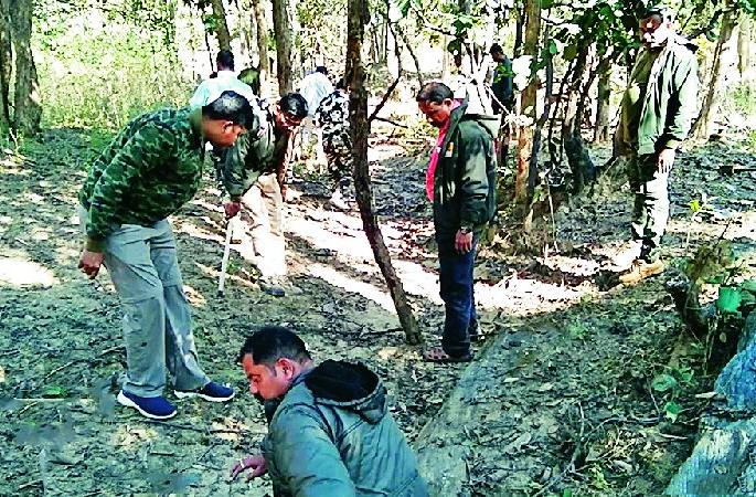 pench camera traps find noose around tigress neck | पेंचमधील वाघिणीच्या गळ्यात आढळला फास, वन्य प्राण्यांच्या सुरक्षेचा मुद्दा ऐरणीवर pench camera traps find noose around tigress neck | पेंचमधील वाघिणीच्या गळ्यात आढळला फास, वन्य प्राण्यांच्या सुरक्षेचा मुद्दा ऐरणीवर