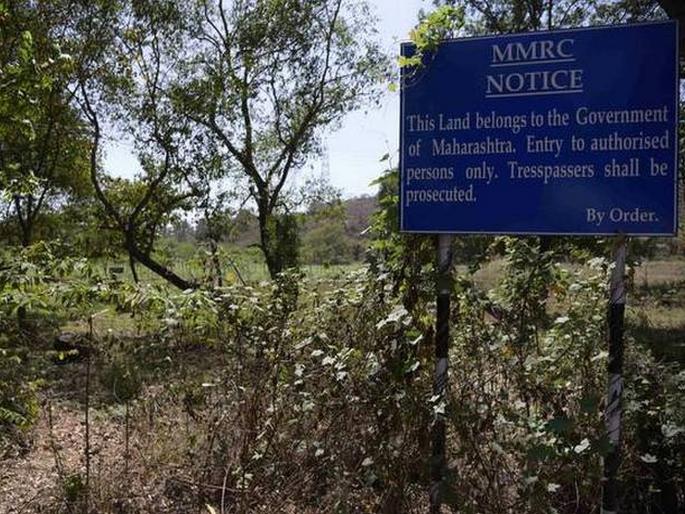 'Thousands of trees were replaced by two and a half thousand trees' | 'अडीच हजार झाडांच्या बदल्यात २४ हजार झाडे लावली' 'Thousands of trees were replaced by two and a half thousand trees' | 'अडीच हजार झाडांच्या बदल्यात २४ हजार झाडे लावली'