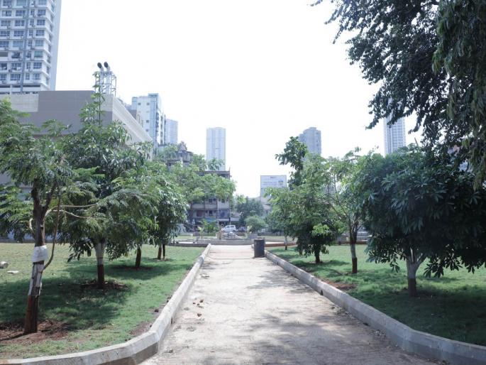 in mumbai area of metro stations will be green mmrc is planning to plant 2600 trees at around metro station on metro 3 route | मेट्रो स्थानकांचा परिसर होणार हिरवागार; एमएमआरसीकडून वृक्षारोपणासाठी ३ कंत्राटे in mumbai area of metro stations will be green mmrc is planning to plant 2600 trees at around metro station on metro 3 route | मेट्रो स्थानकांचा परिसर होणार हिरवागार; एमएमआरसीकडून वृक्षारोपणासाठी ३ कंत्राटे