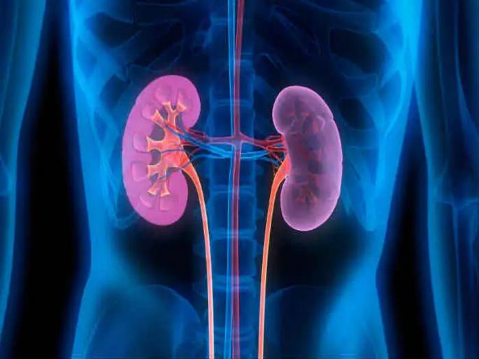 Implementation of Bell for Water activities in unorganized labor sector to prevent kidney disease - Amit Jain | किडनीविकार रोखण्यासाठी असंघटीत कामगार क्षेत्रात बेल फॉर वॉटर उपक्रम राबविणे गरजेचे - अमित जैन 