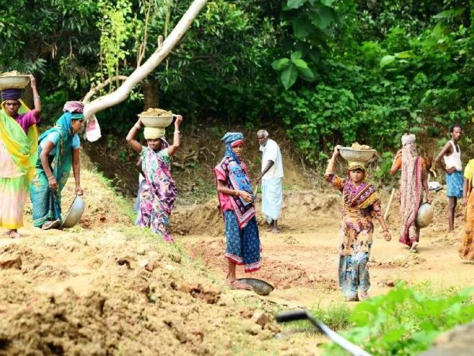 71 thousand laborers work in the village itself; 40,583 works of various types are underway in 658 Gram Panchayats | ७१ हजार मजुरांच्या हाताला गावातच काम; ६५८ ग्रामपंचायतींमध्ये विविध प्रकारची ४०,५८३ कामे सुरू 71 thousand laborers work in the village itself; 40,583 works of various types are underway in 658 Gram Panchayats | ७१ हजार मजुरांच्या हाताला गावातच काम; ६५८ ग्रामपंचायतींमध्ये विविध प्रकारची ४०,५८३ कामे सुरू