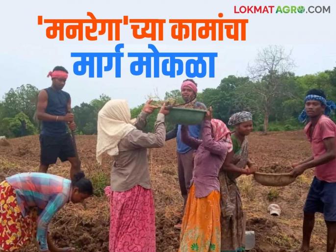 MGNREGA: MGNREGA workers will get work Read in detail | MGNREGA: 'मनरेगा'च्या कामगारांना मिळणार हाताला काम वाचा सविस्तर MGNREGA: MGNREGA workers will get work Read in detail | MGNREGA: 'मनरेगा'च्या कामगारांना मिळणार हाताला काम वाचा सविस्तर