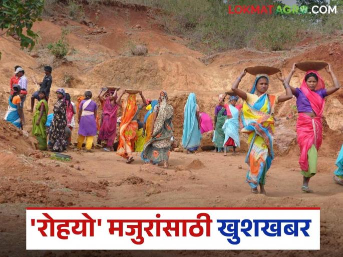MNREGA Wages: 'Rohayo' laborers will get their wages; The amount will be directly deposited in their accounts. Read in detail | MNREGA Wages: 'रोहयो' मजुरांच्या कामाचे मिळेल दाम; रक्कम थेट होणार खात्यात जमा वाचा सविस्तर