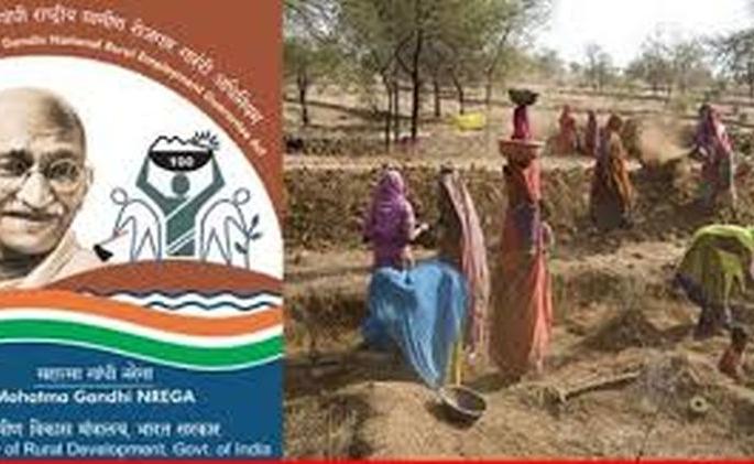 Irregularities in Mnregas work | अकोला :रोहयोच्या कामात अनियमितता Irregularities in Mnregas work | अकोला :रोहयोच्या कामात अनियमितता