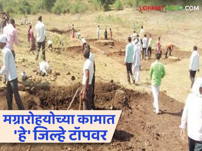 MGNREGA Scheme: These districts are leading in the work of MGNREGA in the state; | MGNREGA Scheme : राज्यात मग्रारोहयोच्या कामात 'हे' जिल्हे अग्रेसर; ६६९ ग्रापंमध्ये ४९९६ कामे सुरू MGNREGA Scheme: These districts are leading in the work of MGNREGA in the state; | MGNREGA Scheme : राज्यात मग्रारोहयोच्या कामात 'हे' जिल्हे अग्रेसर; ६६९ ग्रापंमध्ये ४९९६ कामे सुरू